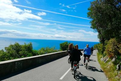 Fantastic Bay of Villefranche & billionaire Fantastic Bay of Villefranche & billionaire's cape E-Bike Tour