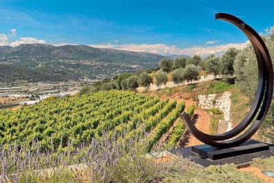 Provence Organic Wine Small Group Half Day Tour with Tastings fro Provence Organic Wine Small Group Half Day Tour with Tastings fro