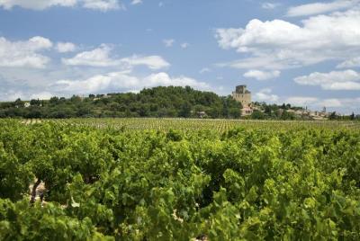 Full private day Avignon Chateuneuf du pape wine tasting Full private day Avignon Chateuneuf du pape wine tasting