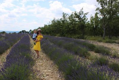 Lavender fields wine tasting at Chateau de Berne Moustiers Grand Canyon Verdon Lavender fields wine tasting at Chateau de Berne Moustiers Grand Canyon Verdon