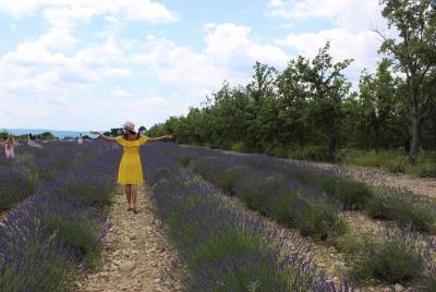 Lavender fields wine tasting at Chateau de Berne Moustiers Grand Canyon Verdon Lavender fields wine tasting at Chateau de Berne Moustiers Grand Canyon Verdon