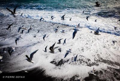 PRIVATE COURSE | PHOTO solo or as a couple PRIVATE COURSE | PHOTO solo or as a couple