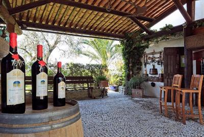 Private Organic Wine & Provence Food Tasting Tour Private Organic Wine & Provence Food Tasting Tour