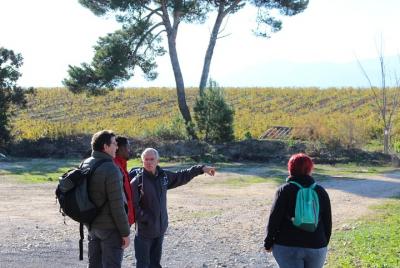 Walks in the heart of the secret vineyards around Collioure, tastings Walks in the heart of the secret vineyards around Collioure, tastings