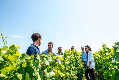Self Guided Drive Tour the Best of Champagne with Tastings, Lunch Self Guided Drive Tour the Best of Champagne with Tastings, Lunch
