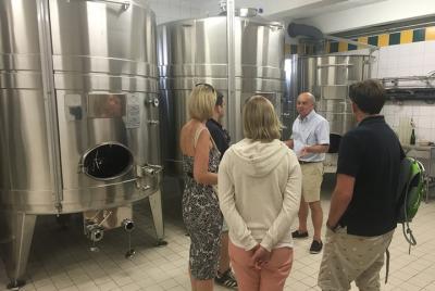 Private Champagne Full Day Tour - 100% Grand Cru Pinot Noir Private Champagne Full Day Tour - 100% Grand Cru Pinot Noir
