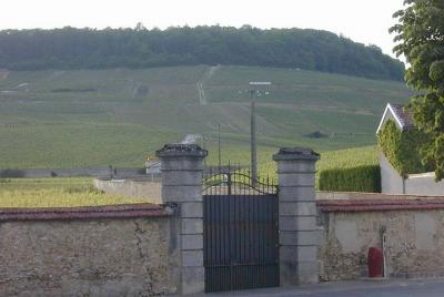 Private Champagne Full Day Tour - 100% Grand Cru Chardonnay Private Champagne Full Day Tour - 100% Grand Cru Chardonnay
