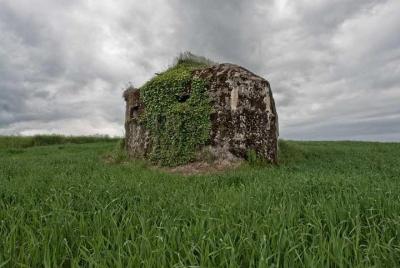 World War I Tour of Northern France; the Argonne Forest World War I Tour of Northern France; the Argonne Forest