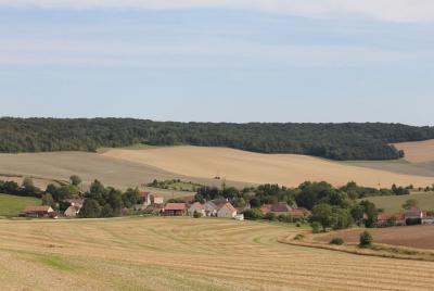 Private 3hr Tour of Two Champagne Wineries with Tasting from Reims Private 3hr Tour of Two Champagne Wineries with Tasting from Reims
