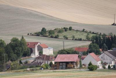 Private 3hr Premier Cru Village Double Vineyard Champagne Tour from Reims by Car Private 3hr Premier Cru Village Double Vineyard Champagne Tour from Reims by Car