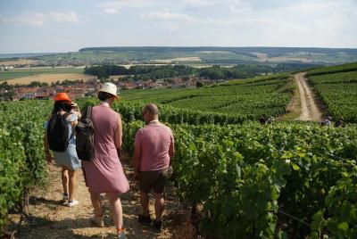 Gourmet walk in the heart of the vineyards with Champagne tasting Gourmet walk in the heart of the vineyards with Champagne tasting