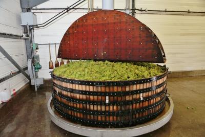 Champagne Guy De Chassey: Traditional Tour & Tasting Champagne Guy De Chassey: Traditional Tour & Tasting