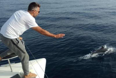 Marbella.Sunset 2H in a small group catamaran with dolphin watching Marbella.Sunset 2H in a small group catamaran with dolphin watching