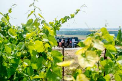 Champagne Half Day Private Tour with Minivan & Driver Guide at Disposal Champagne Half Day Private Tour with Minivan & Driver Guide at Disposal