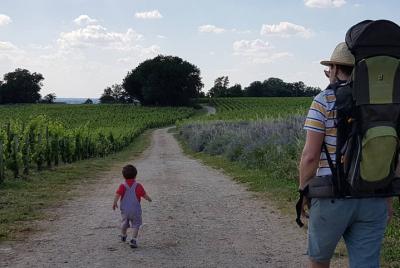 Saint Emilion Self Drive Tour With Your Family Chateaux Visit & Tastings Saint Emilion Self Drive Tour With Your Family Chateaux Visit & Tastings