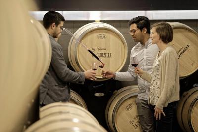 Châteaux in Saint-Emilion: Visit, Tasting & Introduction to Oenology Châteaux in Saint-Emilion: Visit, Tasting & Introduction to Oenology