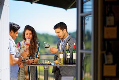 Saint Emilion: Guided Tour of Castles & Tasting - Wine Bar option Saint Emilion: Guided Tour of Castles & Tasting - Wine Bar option
