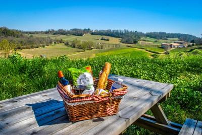 Saint-Émilion: Guided Tour of Castles & Tasting - Picnic option Saint-Émilion: Guided Tour of Castles & Tasting - Picnic option