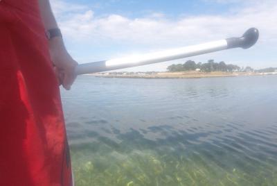 Inflatable paddle day rental Inflatable paddle day rental