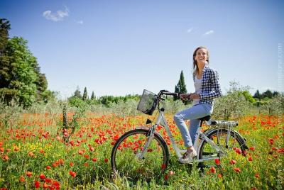 Half-Day Tour from St Rémy-de-Provence by Electric Bike