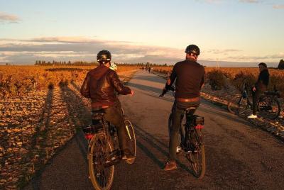 Provence and Wine Tasting by E-Bike from Saint-Rémy-de-Provence Provence and Wine Tasting by E-Bike from Saint-Rémy-de-Provence
