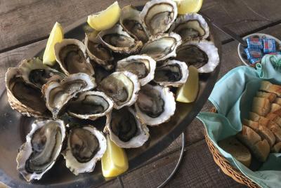 Small-Group Half-Day Languedoc Wine and Oyster Tour from Sète Small-Group Half-Day Languedoc Wine and Oyster Tour from Sète
