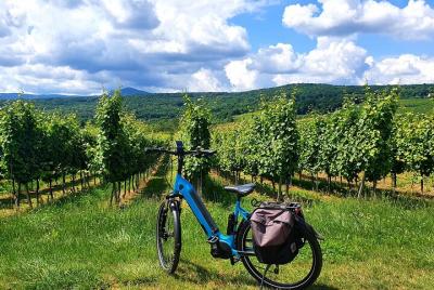 VinoBike : Ebike rental with itineraries in the vineyard besides  VinoBike : Ebike rental with itineraries in the vineyard besides
