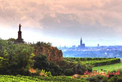 Alsace Vineyards Guided Day Tour with Lunch from Strasbourg Alsace Vineyards Guided Day Tour with Lunch from Strasbourg