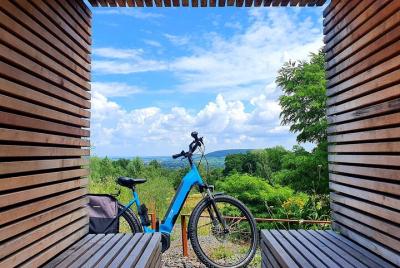 Private Ebike & Wine Tour close to Strasbourg