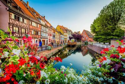 Alsace Region Wine Route Day Tour from Strasbourg 