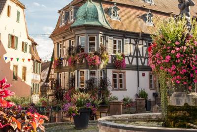 Alsace Local Villages Small Group Guided Tour from Strasbourg