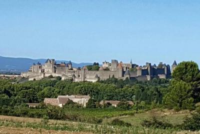 Cité de Carcassonne and Canal du Midi Private Half Day Tour from 