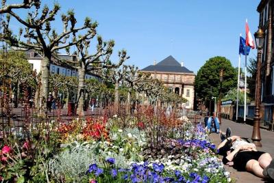 Strasbourg The Best of the Alsace Capital Walking Guided Tour