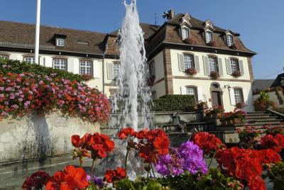 Strasbourg-Entzheim Airport (SXB) - Marlenheim