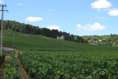 CityTour South-West : Fronton Wine Tour