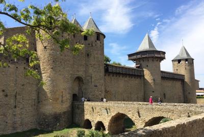 Half day tour : Cité de Carcassonne & Canal du Midi. Shared tour 