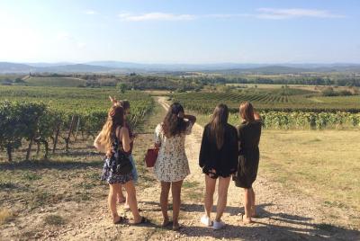Cité de Carcassonne and Wine Tasting Private Day Tour from Toulou