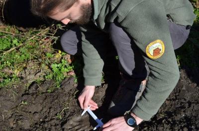 An exceptional day On the Traces of the Pyrenees Bear