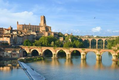 Day Trip to Albi, UNESCO Cathedral and Medieval Village from Toulouse