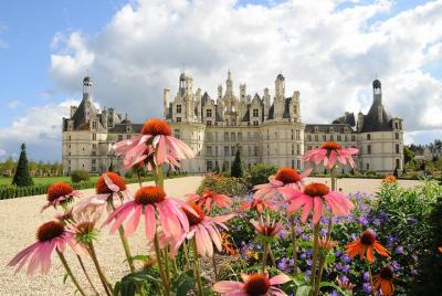 Day tour of Chateaux of Chambord, Blois, Cheverny & family organic winery Day tour of Chateaux of Chambord, Blois, Cheverny & family organic winery