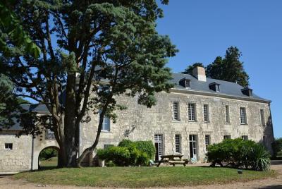 Private tour of the Loire Valley wines Private tour of the Loire Valley wines