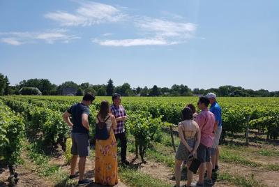 Loire Valley Half Day Wine Tour from City of Tours : 2 wine tastings in Vouvray  Loire Valley Half Day Wine Tour from City of Tours : 2 wine tastings in Vouvray