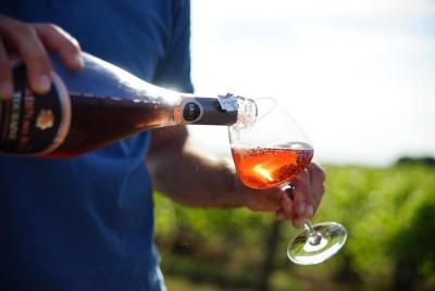 Loire Valley Wine Tour in Vouvray and Montlouis  Loire Valley Wine Tour in Vouvray and Montlouis