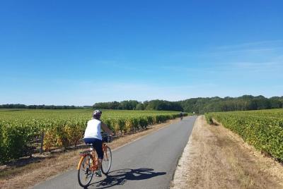 Loire Valley Self-Ride E-bike Tour from Amboise : Amboise & Vouvray vineyards  Loire Valley Self-Ride E-bike Tour from Amboise : Amboise & Vouvray vineyards