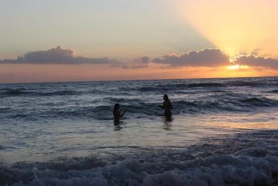 Airport Transfer - Taxi Service - Escursioni - Accompagnatore - Info Turistiche Airport Transfer - Taxi Service - Escursioni - Accompagnatore - Info Turistiche