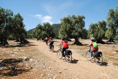 Bike tour among millenary olive trees, farms, rupestrian churches Bike tour among millenary olive trees, farms, rupestrian churches