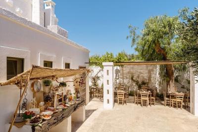 Olive Oil Tasting in Masseria in Ostuni Olive Oil Tasting in Masseria in Ostuni