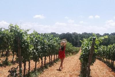 Locorotondo tour and wine tasting