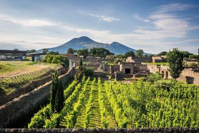 Vesuvius, Pompeii (private guide),vineyards and winery tour, lunc Vesuvius, Pompeii (private guide),vineyards and winery tour, lunc