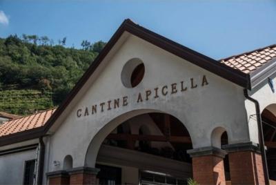Wine tasting at the Apicella winery Wine tasting at the Apicella winery